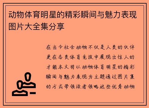 动物体育明星的精彩瞬间与魅力表现图片大全集分享